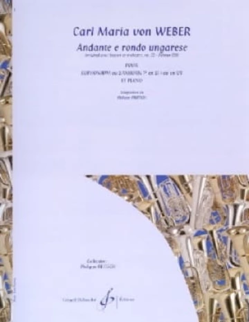 Andante e rondo ungarese Visuell